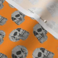 small scale - watercolor skulls - orange