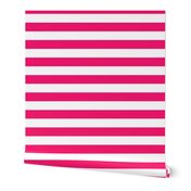 Florida Flamingo Pink Horizontal Tent Stripes Florida Colors of the Sunshine State