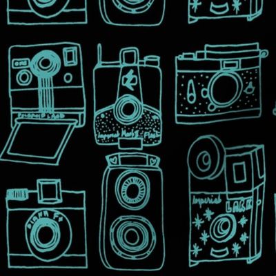 Vintage Cameras // black and turquoise