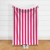 Florida Flamingo Pink Vertical Tent Stripes Florida Colors of the Sunshine State