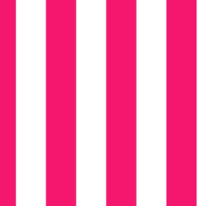 Florida Flamingo Pink Vertical Tent Stripes Florida Colors of the Sunshine State