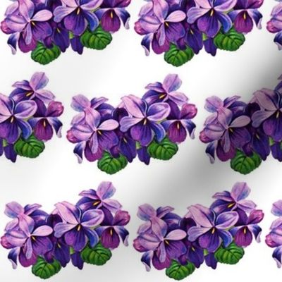 Vintage violets 2 (large)