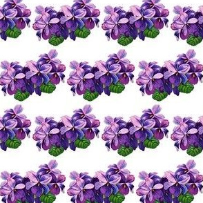 Vintage violets 2 (small) 