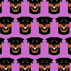 Rottweilers on purple - smiling Rotties
