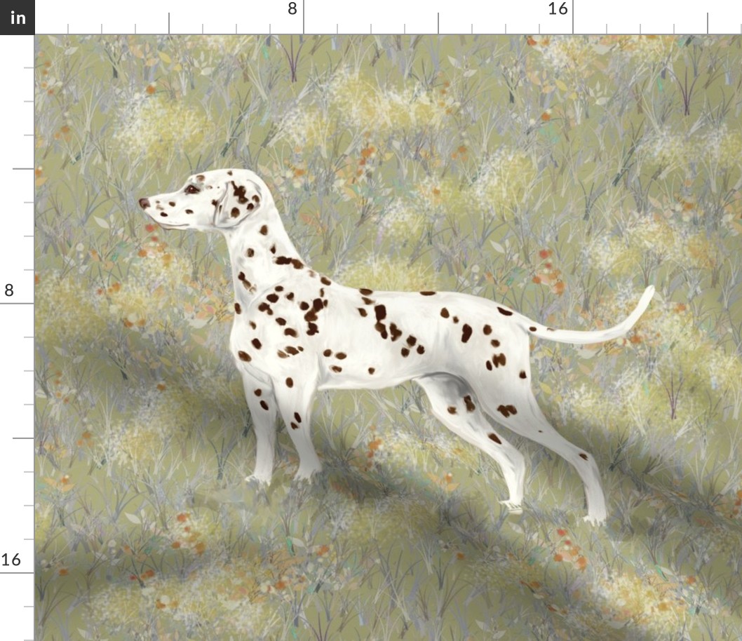 Liver Dalmatian in Frostbitten Field for Pillow