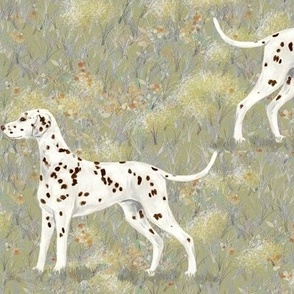 Liver Dalmatian in Frostbitten Field