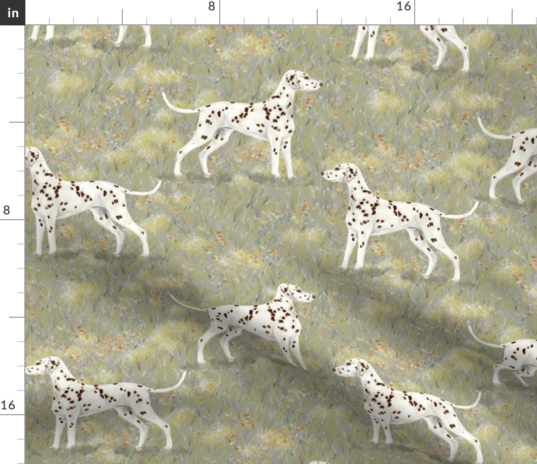 Liver Dalmatian in Frostbitten Field