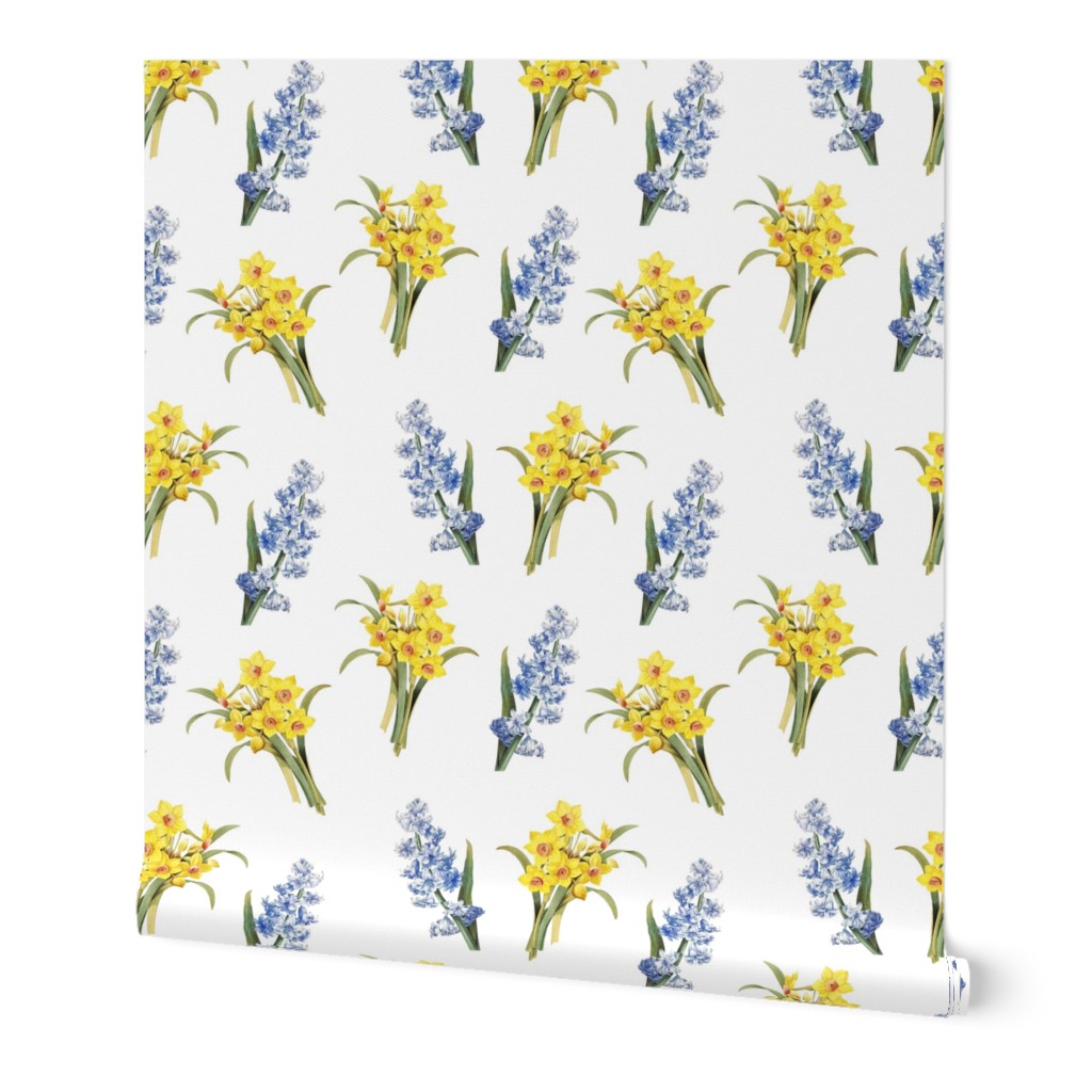 Daffodil hyacinth meadow (large)