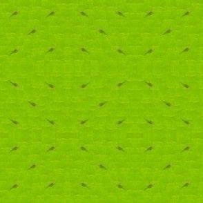 01.Green leaf