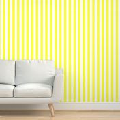 Florida Sunshine Yellow Vertical Tent Stripes Florida Colors of the Sunshine State