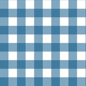 Gingham Blue and white