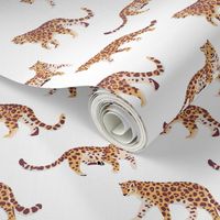 Leopards - White