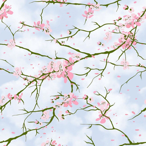 cherry blossoms blue sky