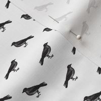 Black & White Birds Print Pattern (Mini Scale)