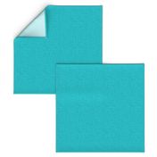 Turquoise - Textured Solid Color