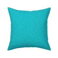 Turquoise - Textured Solid Color