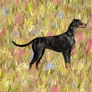 Doberman Pinscher with Natural Ears and Tail in Wildflower Field For Pillow