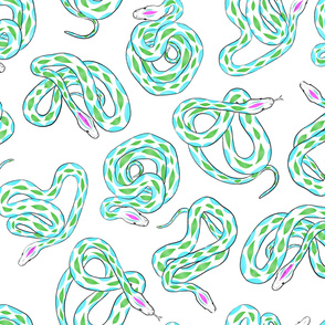 Green and Pink Snakes - Jumbo