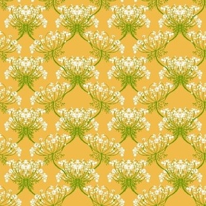 Queen Anne's Lace Nouveau - Yellow