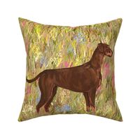 Red and Rust Doberman Pinscher with Natural Ears and Tail in Wildflower Field for Pillow