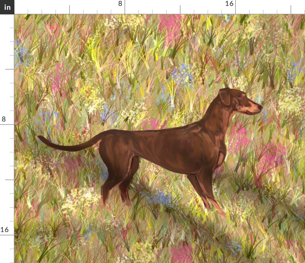 Red and Rust Doberman Pinscher with Natural Ears and Tail in Wildflower Field for Pillow
