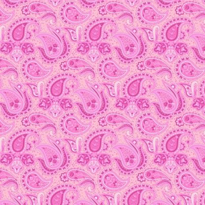 Ophelia Paisley - Pink Small