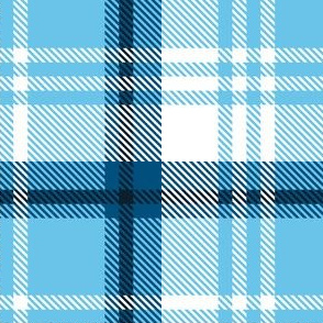 Blue White Plaid