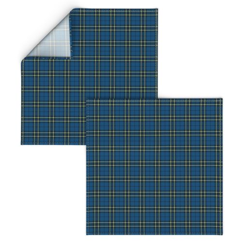 Small Blue Yellow Plaid