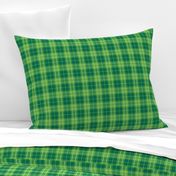 Small Green Plaid