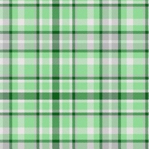 Dark Cross Line Plaid in Green