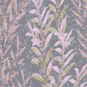 Seaweed Gardens - Pink Seaweed/Bubbles on Gray