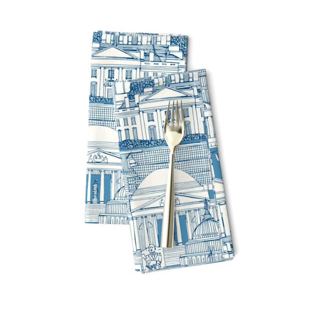 Washington DC toile blue