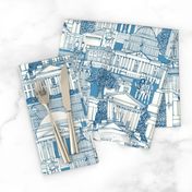 Washington DC toile blue