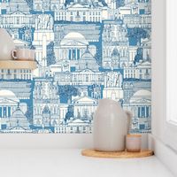 Washington DC toile blue