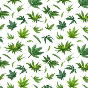 Watercolor Marijuana leaves on a white background - extra small scale
