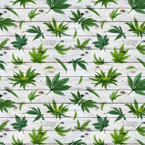 Watercolor Marijuana leaves on a shiplap background - extra small scale