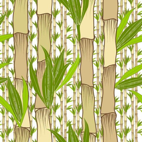 Bamboo And Leaves 