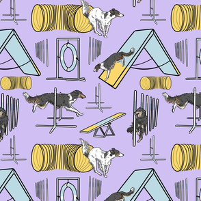 Simple tricolor Silken Windhound agility dogs - purple