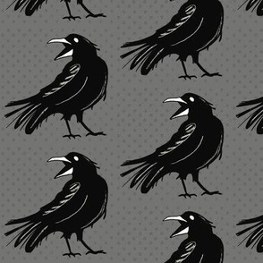Angry raven on gray – medium