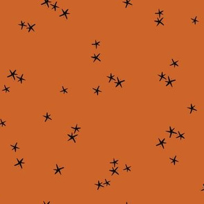 Pumpkin Stars { black & orange }