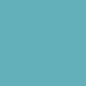 solid plain turquoi blue 63B0BB