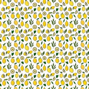lemons_separate_patterns_06