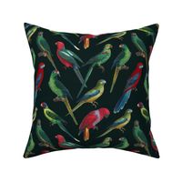 Parrots - Medium - Dark Green