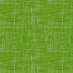 Linen blender - apple green