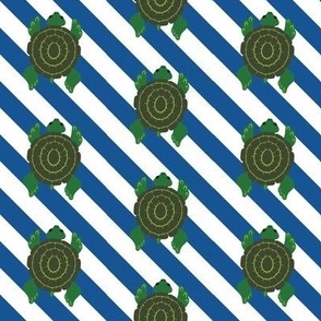 Turtle Stripes