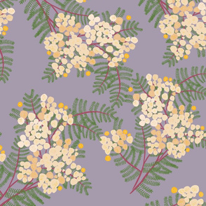 Wattle lilac