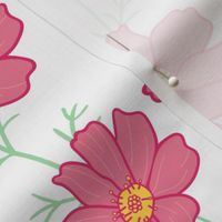 Pink cosmos flowers with stalks on white background. Floral pattern design. 