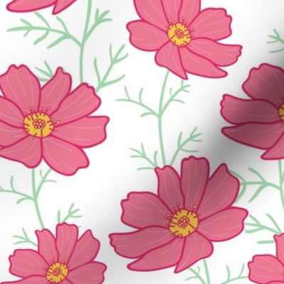 Pink cosmos flowers with stalks on white background. Floral pattern design. 
