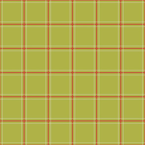 Plaid Lime and red