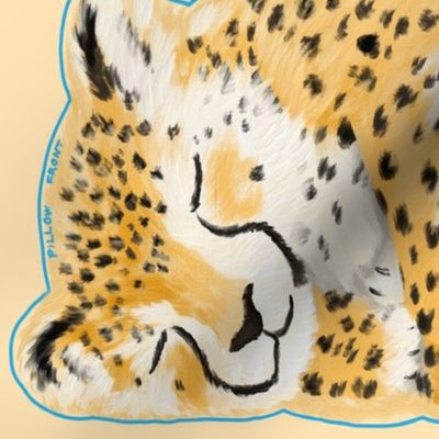 Curling Up with Cheetahs